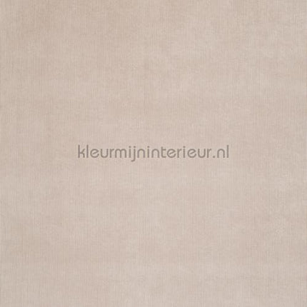 DWC Wallstreet wallstreet-86 | Bestellen bij https://www.kleurmijninterieur.nl/