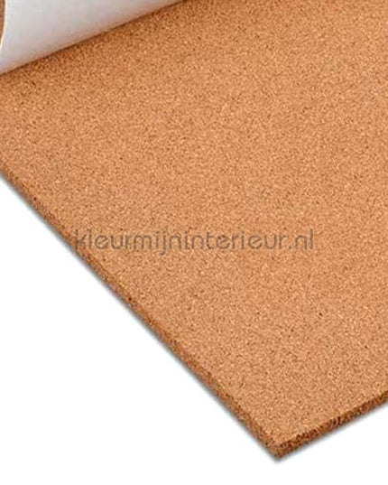Noordwand Wandkurk 2093 | Bestellen bij https://www.kleurmijninterieur.nl/