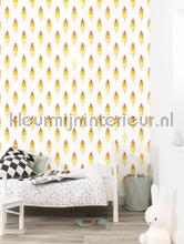 Kek Amsterdam Kinderbehang wp-058 | Bestellen bij https://www.kleurmijninterieur.nl/