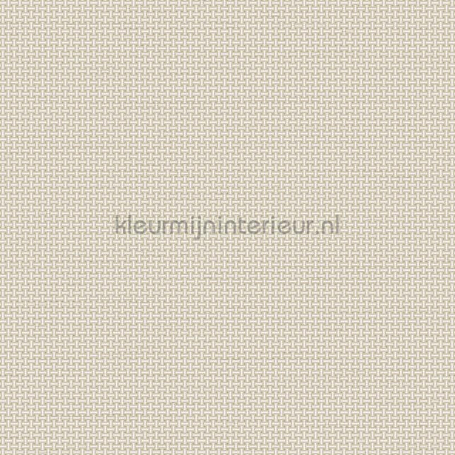 Dutch Wallcoverings Tapestry TP422602 | Bestellen bij https://www.kleurmijninterieur.nl/