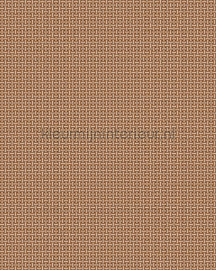Dutch Wallcoverings Tapestry TP422604 | Bestellen bij https://www.kleurmijninterieur.nl/