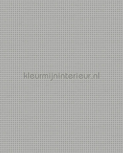 Dutch Wallcoverings Tapestry TP422605 | Bestellen bij https://www.kleurmijninterieur.nl/