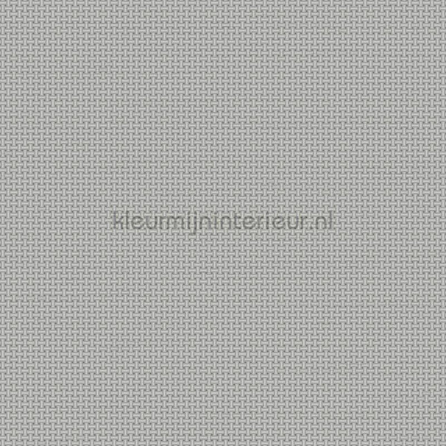 Dutch Wallcoverings Tapestry TP422605 | Bestellen bij https://www.kleurmijninterieur.nl/