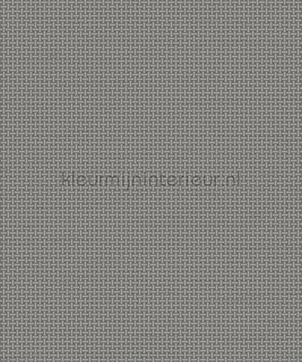 Dutch Wallcoverings Tapestry TP422606 | Bestellen bij https://www.kleurmijninterieur.nl/