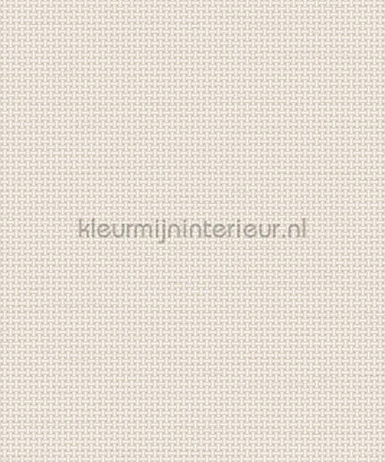 Dutch Wallcoverings Tapestry TP422601 | Bestellen bij https://www.kleurmijninterieur.nl/