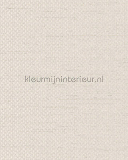 Dutch Wallcoverings Tapestry TP422601 | Bestellen bij https://www.kleurmijninterieur.nl/