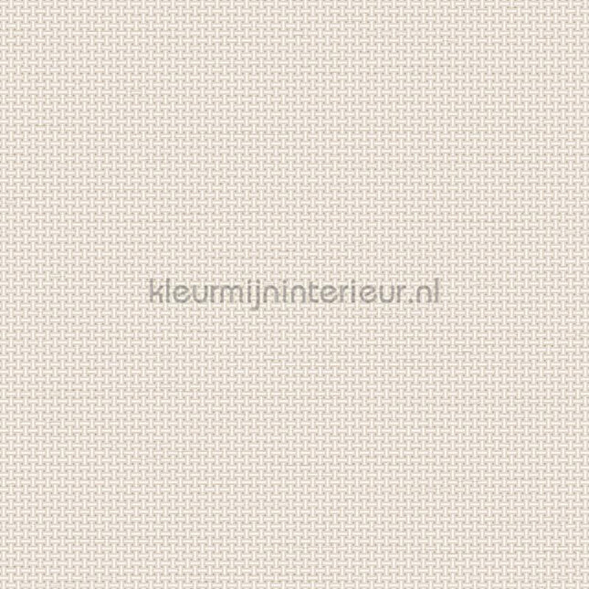 Dutch Wallcoverings Tapestry TP422601 | Bestellen bij https://www.kleurmijninterieur.nl/