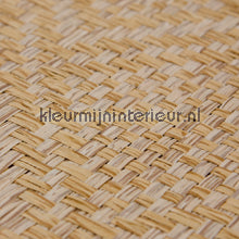 Kleurmijninterieur Natuurlijke Weefsels GPW-PW-066 | Bestellen bij https://www.kleurmijninterieur.nl/