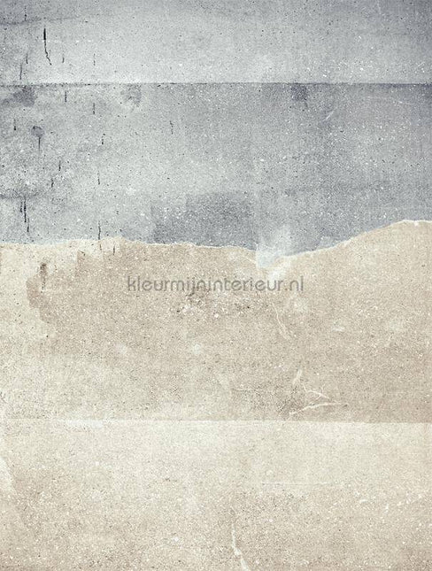 Eijffinger Wallpower Favourites 309041 | Bestellen bij https://www.kleurmijninterieur.nl/