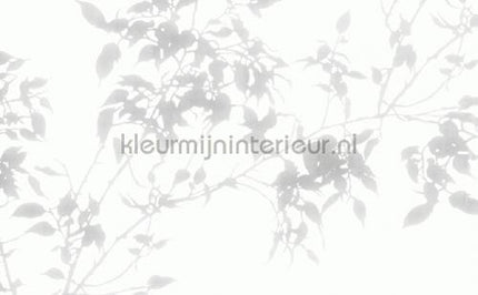 Atlas Wallcoverings Excess 8038-5 | Bestellen bij https://www.kleurmijninterieur.nl/