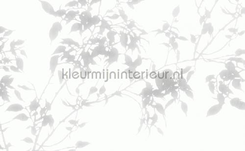 Atlas Wallcoverings Excess 8038-5 | Bestellen bij https://www.kleurmijninterieur.nl/