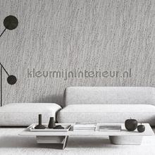 Dutch Wallcoverings Tapestry TP422505 | Bestellen bij https://www.kleurmijninterieur.nl/