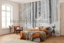 Komar RAW R4-043 | Bestellen bij https://www.kleurmijninterieur.nl/