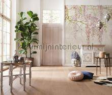 Komar RAW R4-050 | Bestellen bij https://www.kleurmijninterieur.nl/