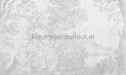 Noordwand Vanilla Lime 14172 | Bestellen bij https://www.kleurmijninterieur.nl/
