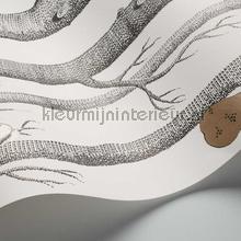 Cole and Son Contemporary Restyled 95-5027 | Bestellen bij https://www.kleurmijninterieur.nl/