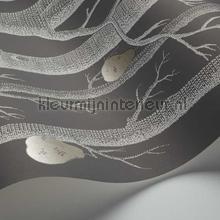 Cole and Son Contemporary Restyled 95-5031 | Bestellen bij https://www.kleurmijninterieur.nl/