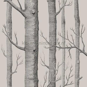 Cole and Son Icons 112-3009 | Bestellen bij https://www.kleurmijninterieur.nl/