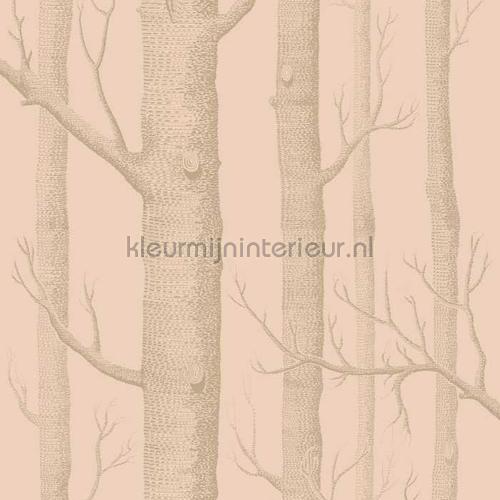 Cole and Son Whimsical 103-5024 | Bestellen bij https://www.kleurmijninterieur.nl/
