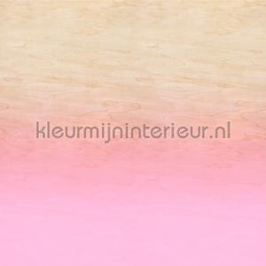 AS Creation Walls by Patel 3 DD122624 | Bestellen bij https://www.kleurmijninterieur.nl/