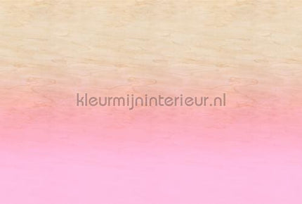 AS Creation Walls by Patel 3 DD122624 | Bestellen bij https://www.kleurmijninterieur.nl/