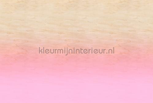 AS Creation Walls by Patel 3 DD122624 | Bestellen bij https://www.kleurmijninterieur.nl/