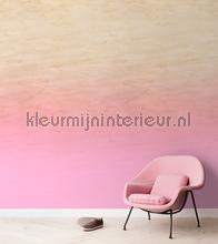 AS Creation Walls by Patel 3 DD122624 | Bestellen bij https://www.kleurmijninterieur.nl/