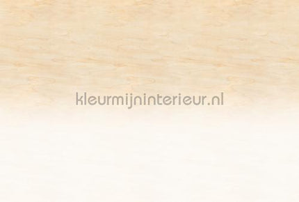 AS Creation Walls by Patel 3 DD122632 | Bestellen bij https://www.kleurmijninterieur.nl/