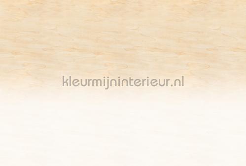 AS Creation Walls by Patel 3 DD122632 | Bestellen bij https://www.kleurmijninterieur.nl/