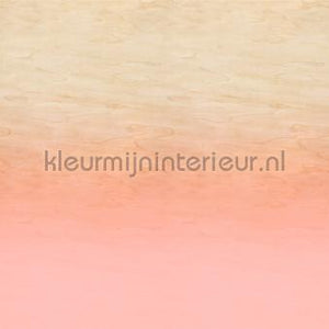 AS Creation Walls by Patel 3 DD122628 | Bestellen bij https://www.kleurmijninterieur.nl/