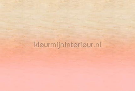 AS Creation Walls by Patel 3 DD122628 | Bestellen bij https://www.kleurmijninterieur.nl/