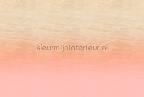AS Creation Walls by Patel 3 DD122628 | Bestellen bij https://www.kleurmijninterieur.nl/
