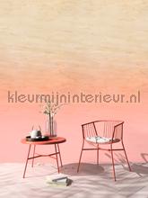 AS Creation Walls by Patel 3 DD122628 | Bestellen bij https://www.kleurmijninterieur.nl/