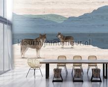AS Creation Walls by Patel 3 DD122892 | Bestellen bij https://www.kleurmijninterieur.nl/