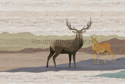 AS Creation Walls by Patel 3 DD122896 | Bestellen bij https://www.kleurmijninterieur.nl/