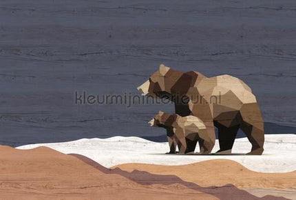 AS Creation Walls by Patel 3 DD122900 | Bestellen bij https://www.kleurmijninterieur.nl/