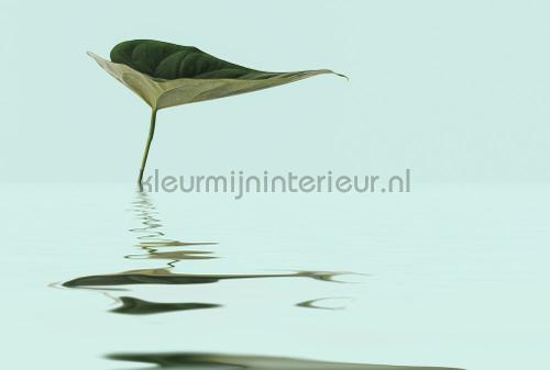 Livingwalls ARTist dd119789 | Bestellen bij https://www.kleurmijninterieur.nl/