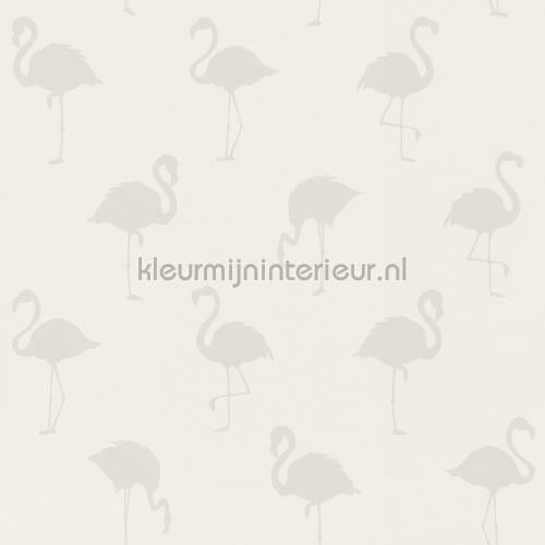Esta for Kids Little Bandits 138917 | Bestellen bij https://www.kleurmijninterieur.nl/